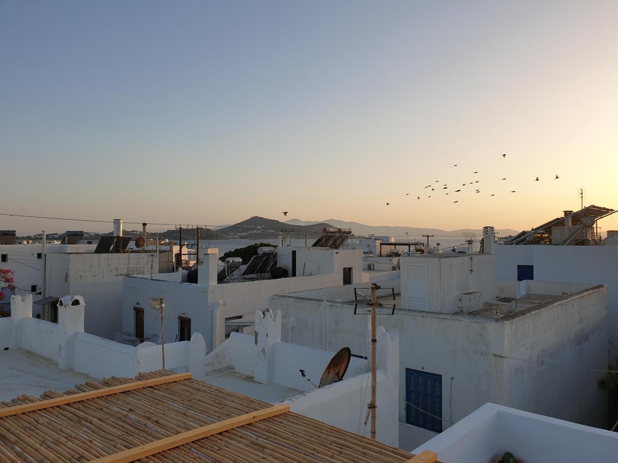 My Island Homes And Residence Naxos City Szoba fotó